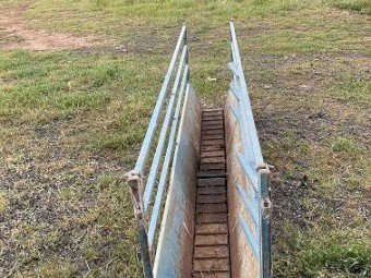 Peak Hill Sheep Handler