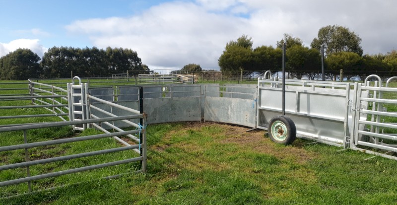 Portable sheep yards