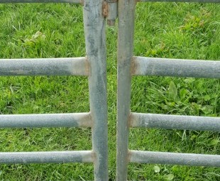 Portable sheep yards
