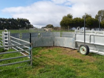 Portable sheep yards