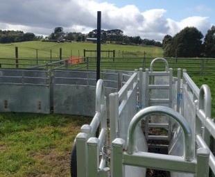 Portable sheep yards
