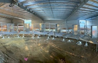 Shearing sheds and yards