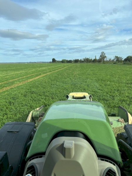 Lucerne Ryegrass mix