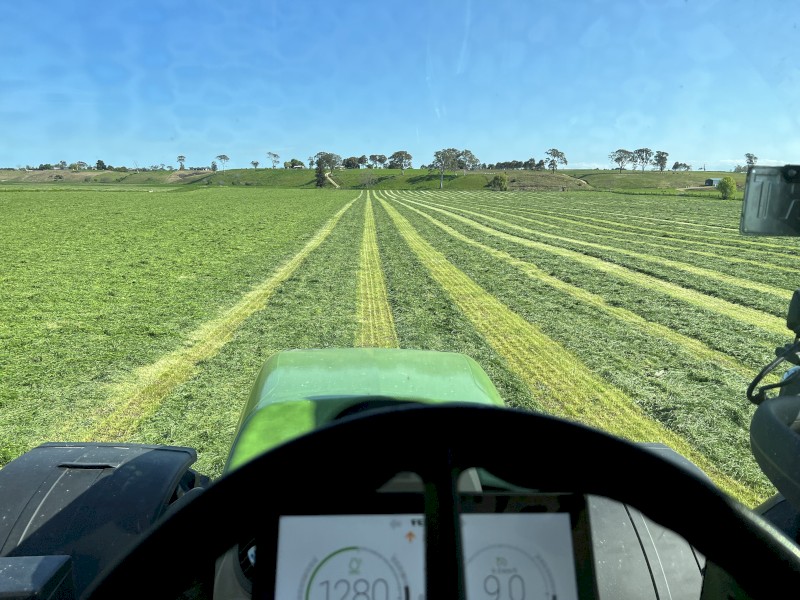 Lucerne Rye Grass Mix Silage