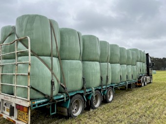 Lucerne Rye Grass Mix Silage