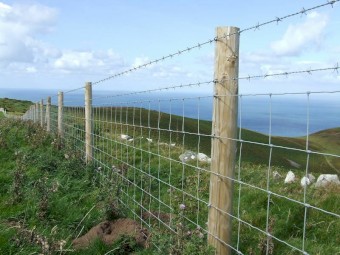 FENCING WIRE MESH HINGED JOINT 9/1.25/30 X 100 MTS