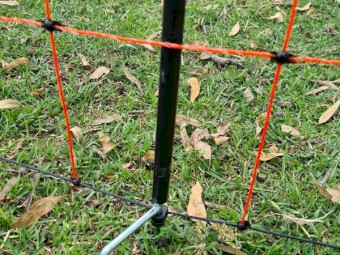 ELECTRIC SHEEP/GOAT/CALF NETTING 1,10mts x 50 mts