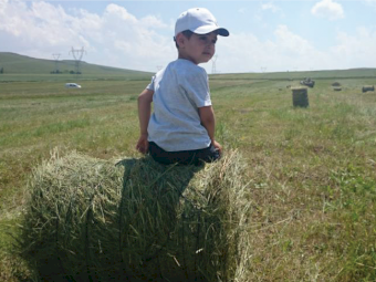 JUTE TWINE SPOOL FOR BALERS 600 m x 3 kg