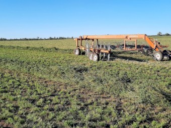 Schinckel 16 wheel V Rake