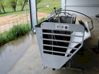 Hecton Sheep Handler