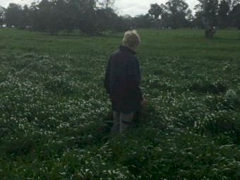 Sheep, lamb or cattle agistment available.