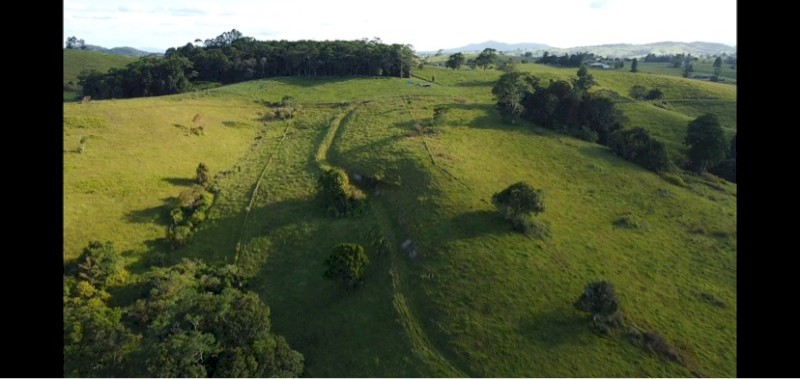 Land for agistment to Dairy cattle 