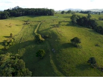 Land for agistment to Dairy cattle 