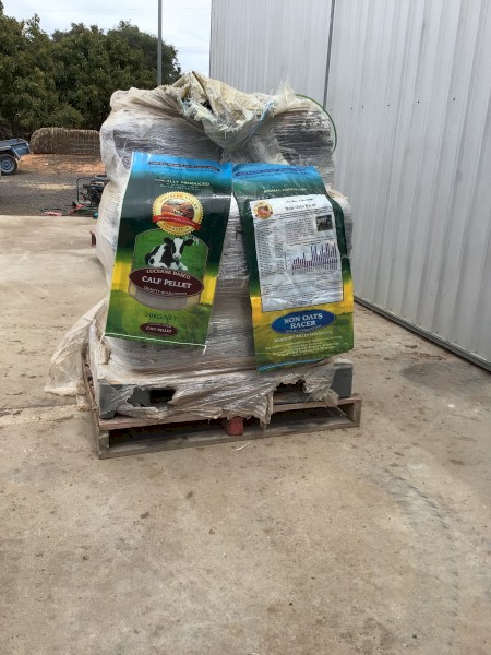 New Printed Poly Bags