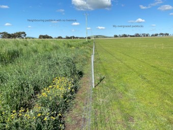 Agistment available from Dec, capacity approx 500 sheep or 50 cattle