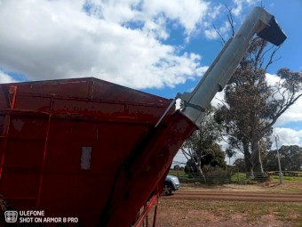 Bordignon 30t Mother Bin