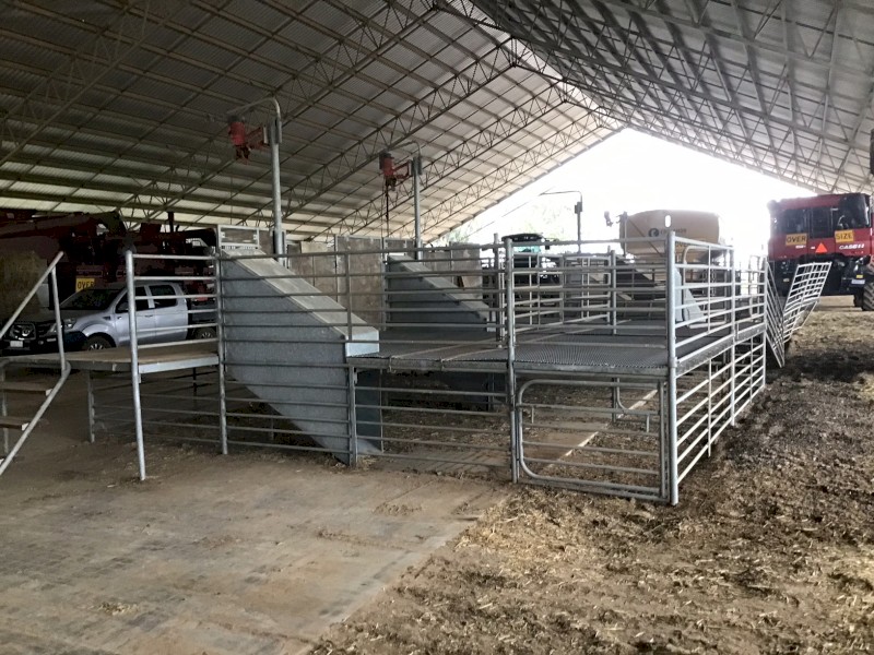 Modular Shearing stands/catching pens/ fill lane/count out pens x 2