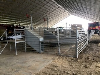 Modular Shearing stands/catching pens/ fill lane/count out pens x 2