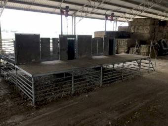 Modular Shearing stands/catching pens/ fill lane/count out pens x 2