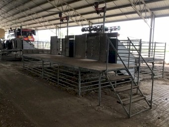 Modular Shearing stands/catching pens/ fill lane/count out pens x 2