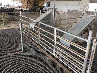 Modular Shearing stands/catching pens/ fill lane/count out pens x 2