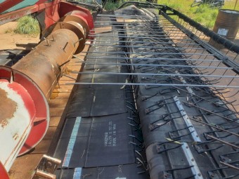 Case IH 2015 Canola Pickup Front (Harvest Ready)