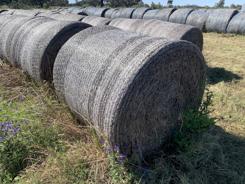 Lucerne Hay Rolls