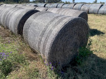 Lucerne Hay Rolls
