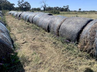 Lucerne Hay Rolls