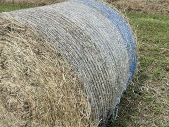 Pasture hay