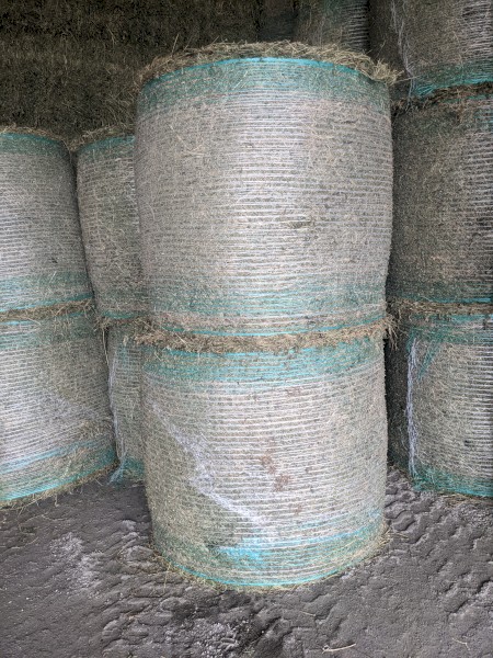 Lucerne Hay - 4x4 Rounds