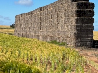  Header Trail Barley Straw