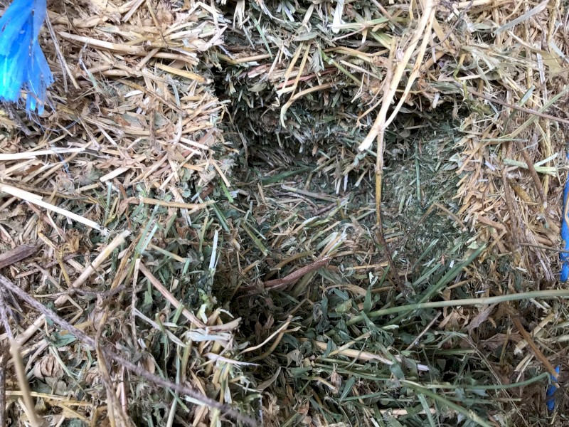 8x4x3 Lucerne Hay Farm Tender