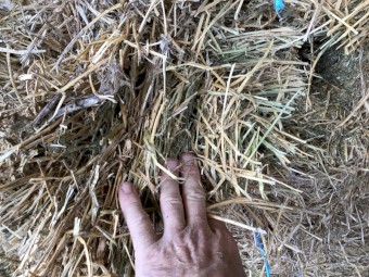 8x4x3 Lucerne Hay