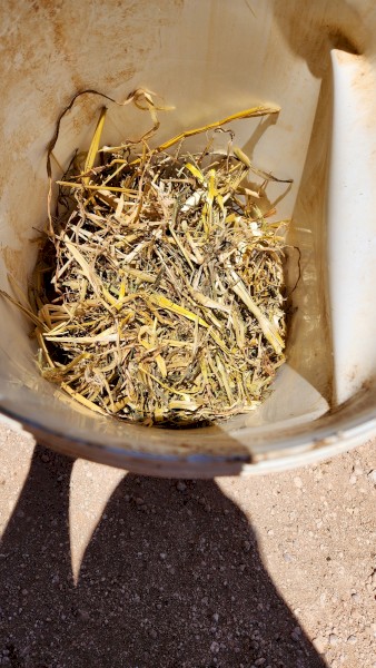 43mt Oaten Hay 8x4x3 Bales (New Season 22/23)