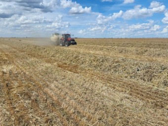 43mt Oaten Hay 8x4x3 Bales (New Season 22/23)