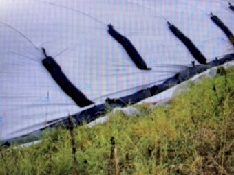 GRAVEL / SAND BAGS (Heavy Duty, Long Lasting) 127cm x 27cm