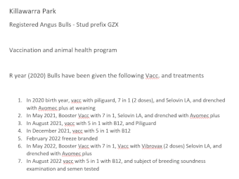 Registered Angus Bull