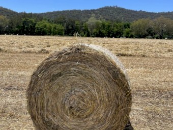 Oaten Hay 4ft rounds