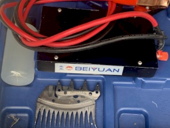 Beiyuan  12v Dc  handpiece