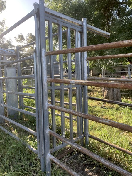 Crush and weigh system set up