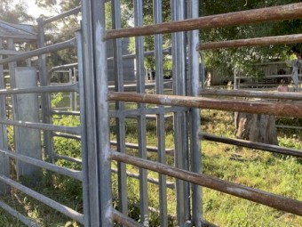 Crush and weigh system set up