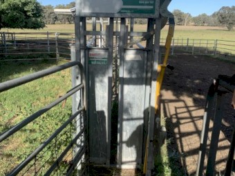 Crush and weigh system set up