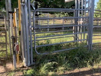 Crush and weigh system set up