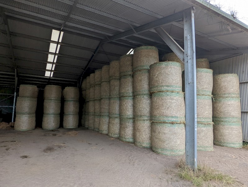 Rye Pasture Round Bales