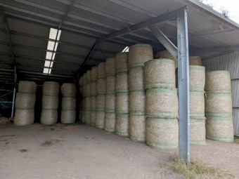 Rye Pasture Round Bales