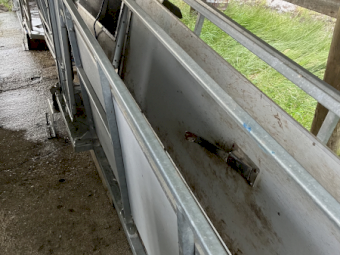 Hecton Sheep Handler