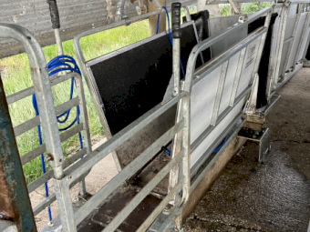 Hecton Sheep Handler