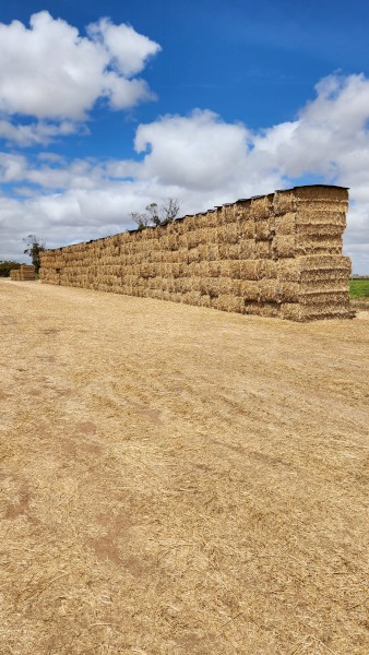 180mt Oaten Hay 8x4x3 Bales (New Season 22/23)