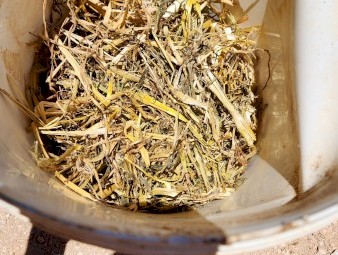 180mt Oaten Hay 8x4x3 Bales (New Season 22/23)